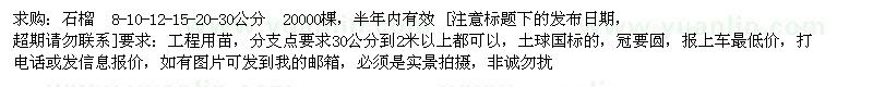 求購石榴8-10-12-15-20-30公分 20000棵