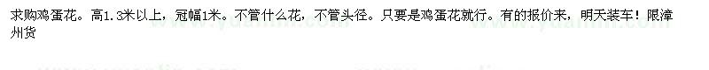 求購雞蛋花（限漳州）