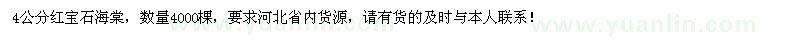 求購(gòu)4公分紅寶石海棠4000棵