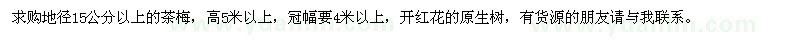 求購地徑15公分以上的茶梅