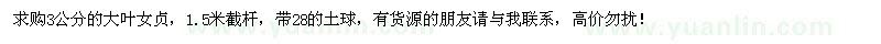 求購3公分的大葉女貞