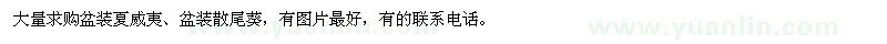 求購盆裝夏威夷,盆裝散尾葵