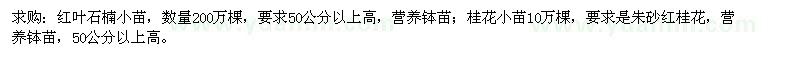 求購紅葉石楠小苗