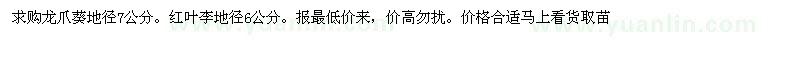 求購龍爪葵、紅葉李