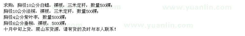 求購白蠟、法桐、紫葉李、垂柳