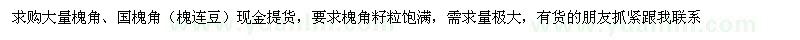 求購大量槐角、國槐角（槐連豆）