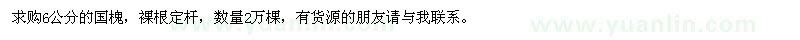 求購6公分的國槐