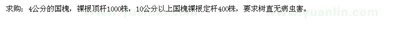求購4公分的國槐