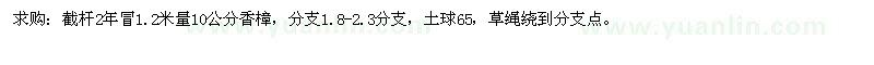 求購截桿2年冒1.2米量10公分香樟