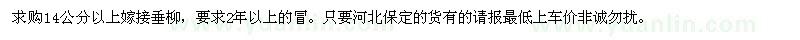 求購垂柳