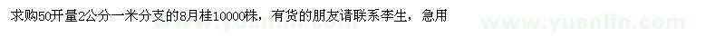 求購8月桂