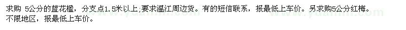 求購5公分的藍(lán)花楹，分支點(diǎn)1.5米以上 