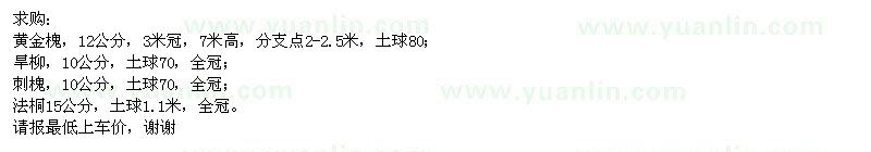 求購(gòu)黃金槐,旱柳,刺槐,法桐