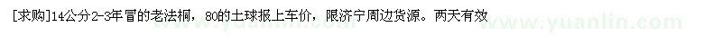 求購14公分2-3年冒的老法桐