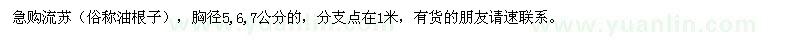 求購(gòu)流蘇