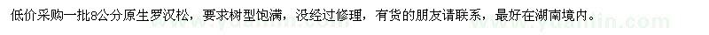 求購(gòu)一批8公分原生羅漢松