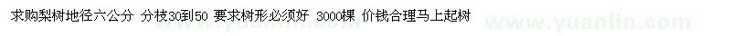 求購梨樹地徑六公分