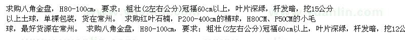 求購八角金盤 紅葉石楠