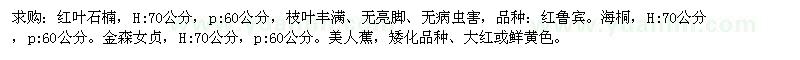 求購紅葉石楠，H:70公分，p:60公分、金森女貞，H:70公分，p:60公分