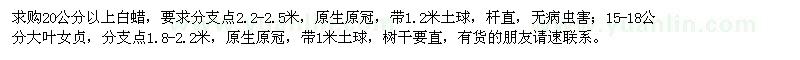 求購白蠟,大葉女貞