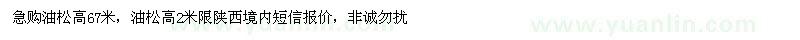 求購油松