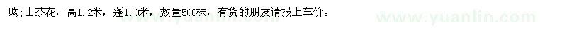 求購山茶花