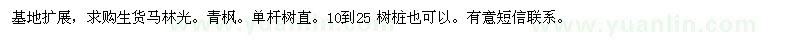 求購紫薇、青楓 