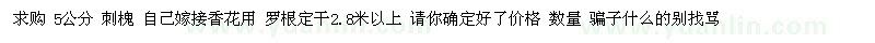 求購5公分 刺槐 自己嫁接香花用 
