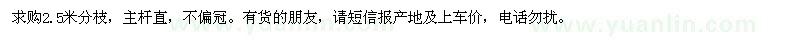 求購胸徑11或12或13公分國槐200棵