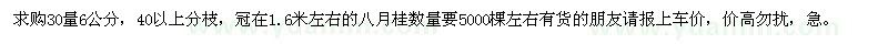 求購(gòu)30量6公分的八月桂