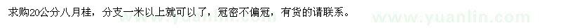 求購20公分八月桂