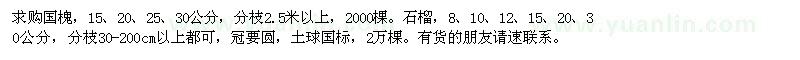 求購國槐、石榴