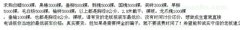求購白蠟、國槐、刺槐、欒樹、垂柳、旱柳、毛白楊、龍爪槐、垂榆