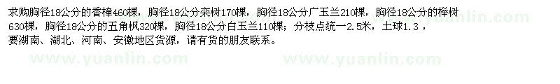 求購(gòu)胸徑18公分的香樟、欒樹(shù)、廣玉蘭、櫸樹(shù)、五角楓、白玉蘭 