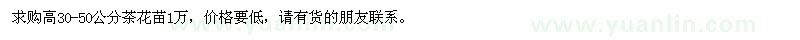 求購高30-50公分茶花苗1萬