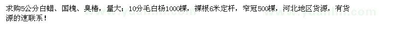 求購5公分白蠟、國槐、臭椿、10公分毛白楊
