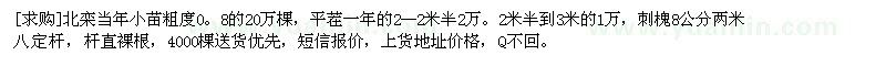 求購(gòu)北欒當(dāng)年小苗、8公分刺槐
