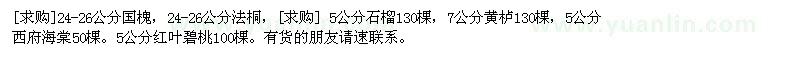 求購國槐，法桐，石榴，黃櫨