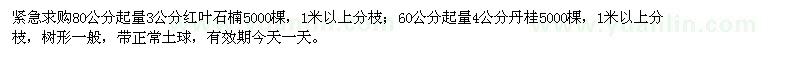 求購(gòu)3公分紅葉石楠、4公分丹桂各5000棵