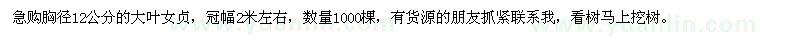 求購胸徑12公分的大葉女貞1000棵