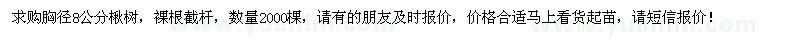 求購(gòu)胸徑8公分楸樹(shù)2000棵