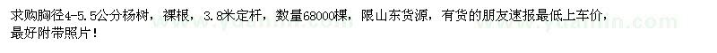 求購胸徑4-5.5公分楊樹68000棵