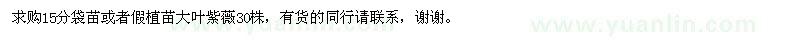 求購大葉紫薇30株