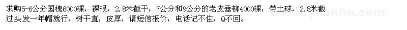 求購(gòu)5-6公分國(guó)槐6000棵