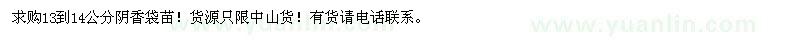 求購13到14公分陰香