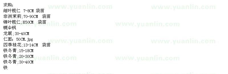 求購細葉欖仁、非洲茉莉、錦葉欖仁等