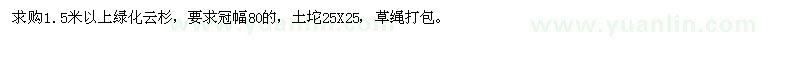 求購1.5米以上綠化云杉