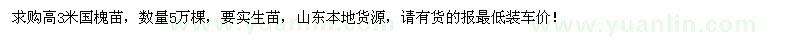 求購高3米國槐苗5萬棵