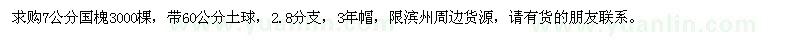 求購7公分國槐
