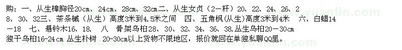 求購叢生樟 叢生女貞 茶條槭 五角楓 白蠟 烏桕 樸樹